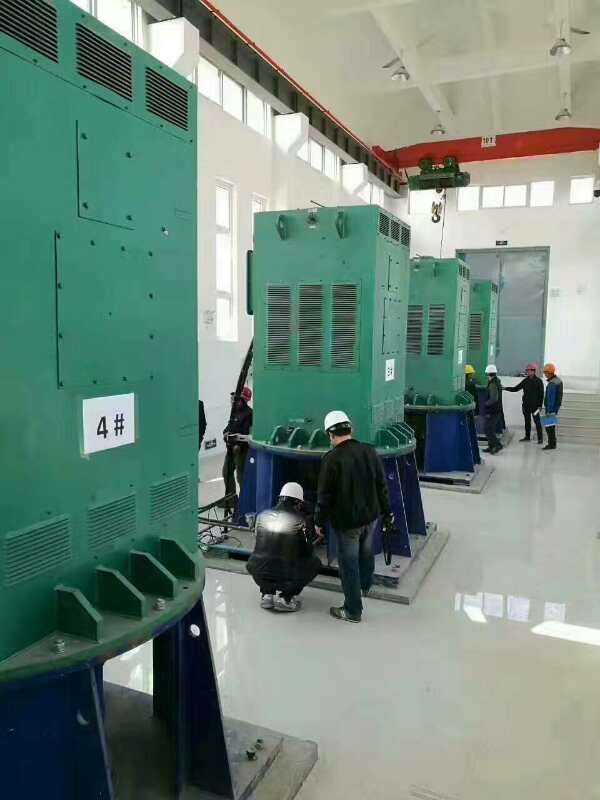 新华某污水处理厂使用我厂的立式高压电机安装现场